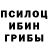 Галлюциногенные грибы Cubensis nic doe