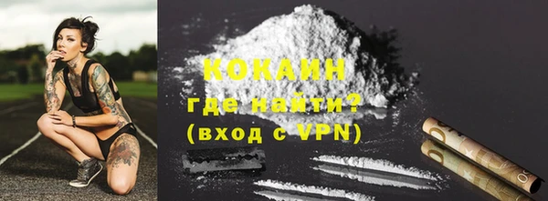гидра Абаза