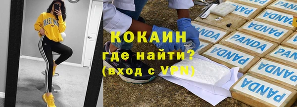 гидра Абаза